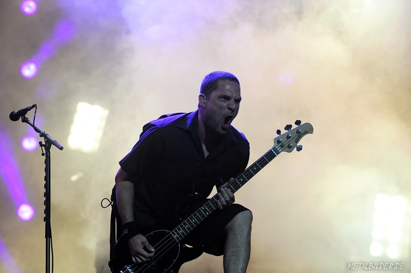 DSC_4177.jpg