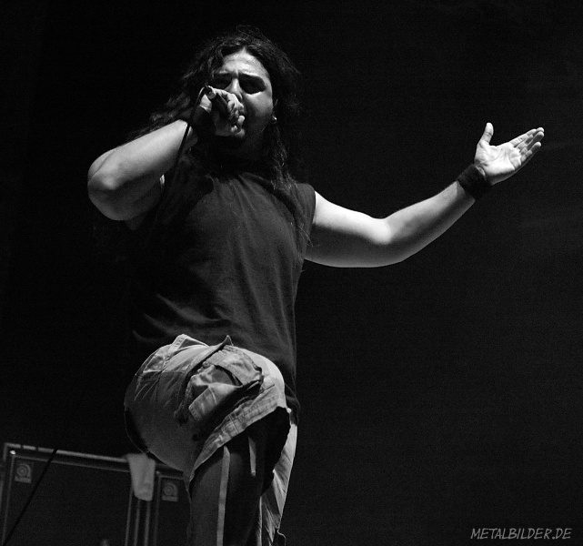 DSC 8714