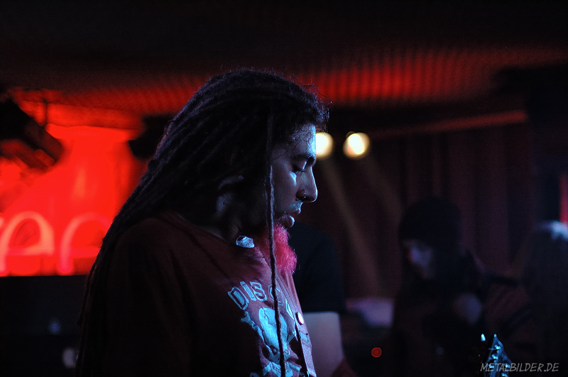 DSC_2528.jpg