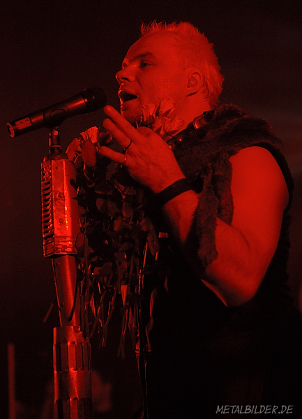 DSC_7364.jpg