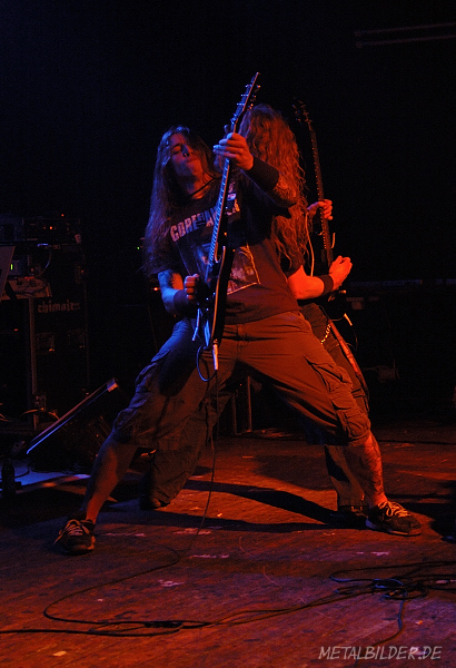 DSC_6786.jpg